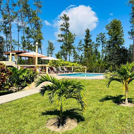 Kane Villas - Mountain Pine Ridge San Ignacio Exterior foto