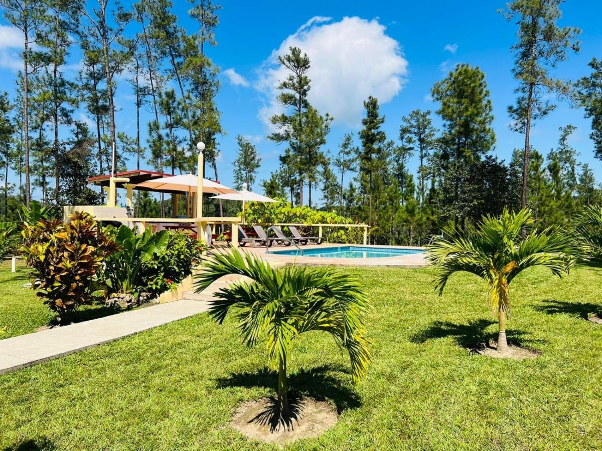 Kane Villas - Mountain Pine Ridge San Ignacio Exterior foto