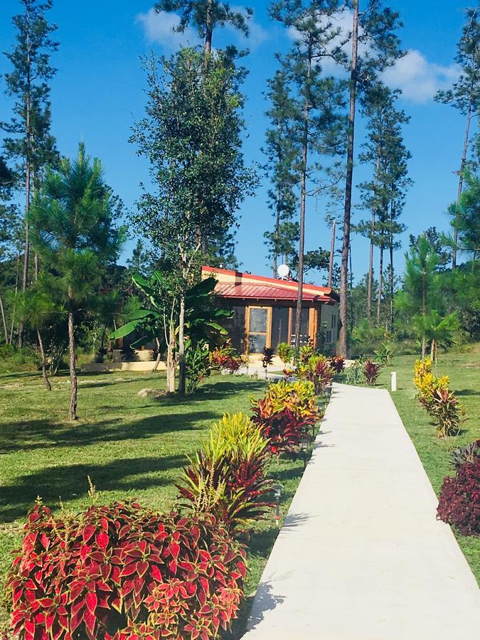 Kane Villas - Mountain Pine Ridge San Ignacio Exterior foto