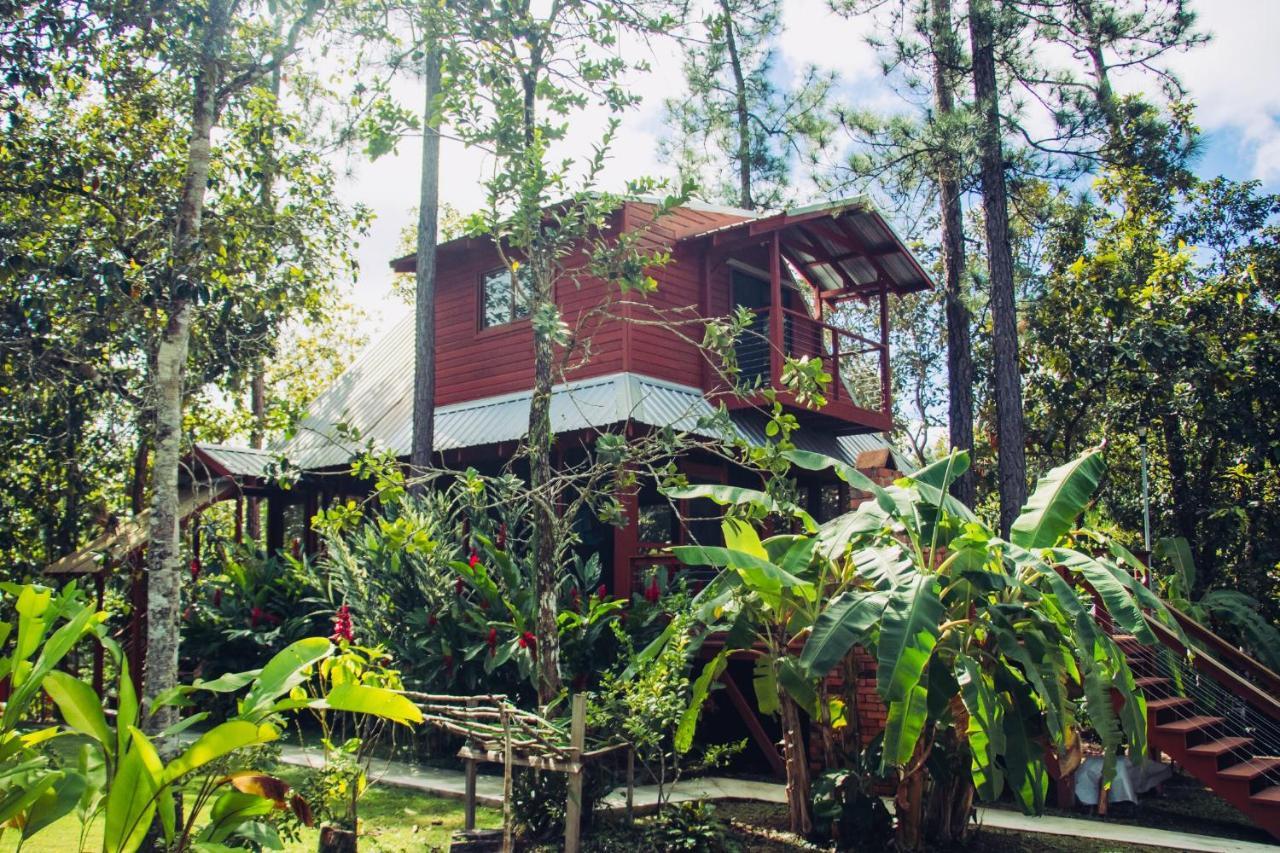 Kane Villas - Mountain Pine Ridge San Ignacio Exterior foto